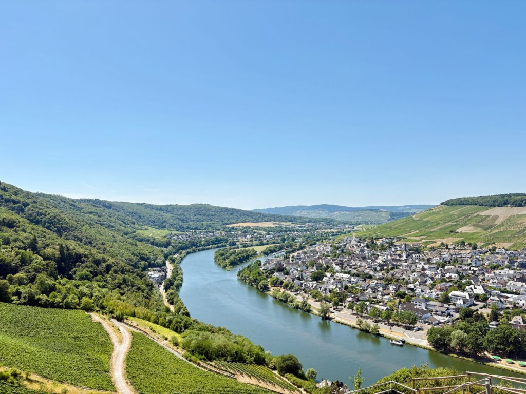Anwälte für Steuerrecht in Rheinland-Pfalz