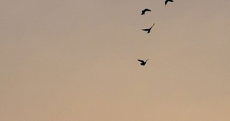 Anwalt Steuerrecht Fachanwalt München: Kontakt und steuerrechtliche Tätigkeitsbereiche