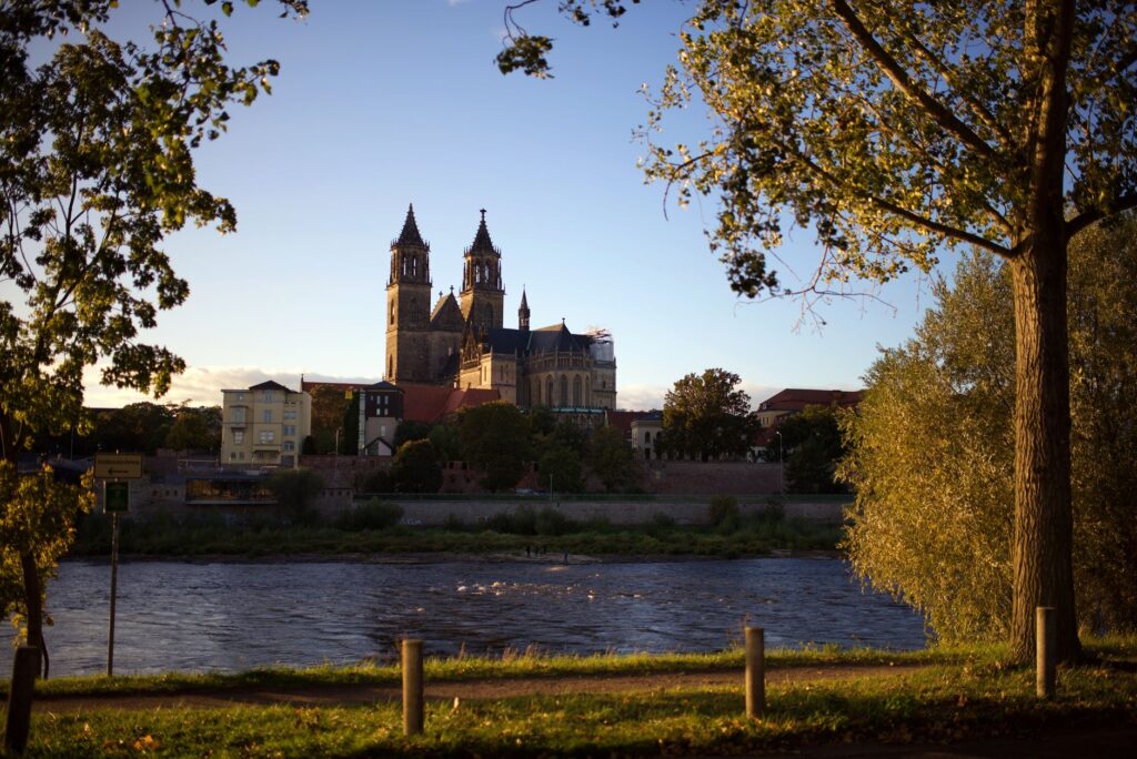 Anwalt für Steuerrecht in Magdeburg