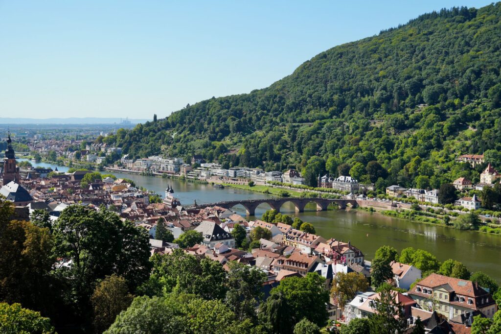 Selbstanzeige Steuerhinterziehung Heidelberg in Ludwigshafen am Rhein