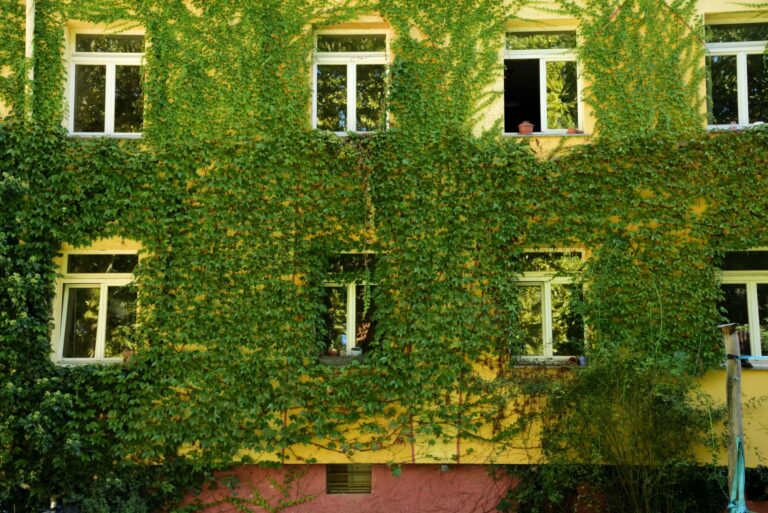 Steuerrecht Rechtsanwälte Freiburg in Freiburg im Breisgau – Steuerrecht in Anwalt für Steuerrecht in Freiburg im Breisgau: Kanzleien und Kontakt